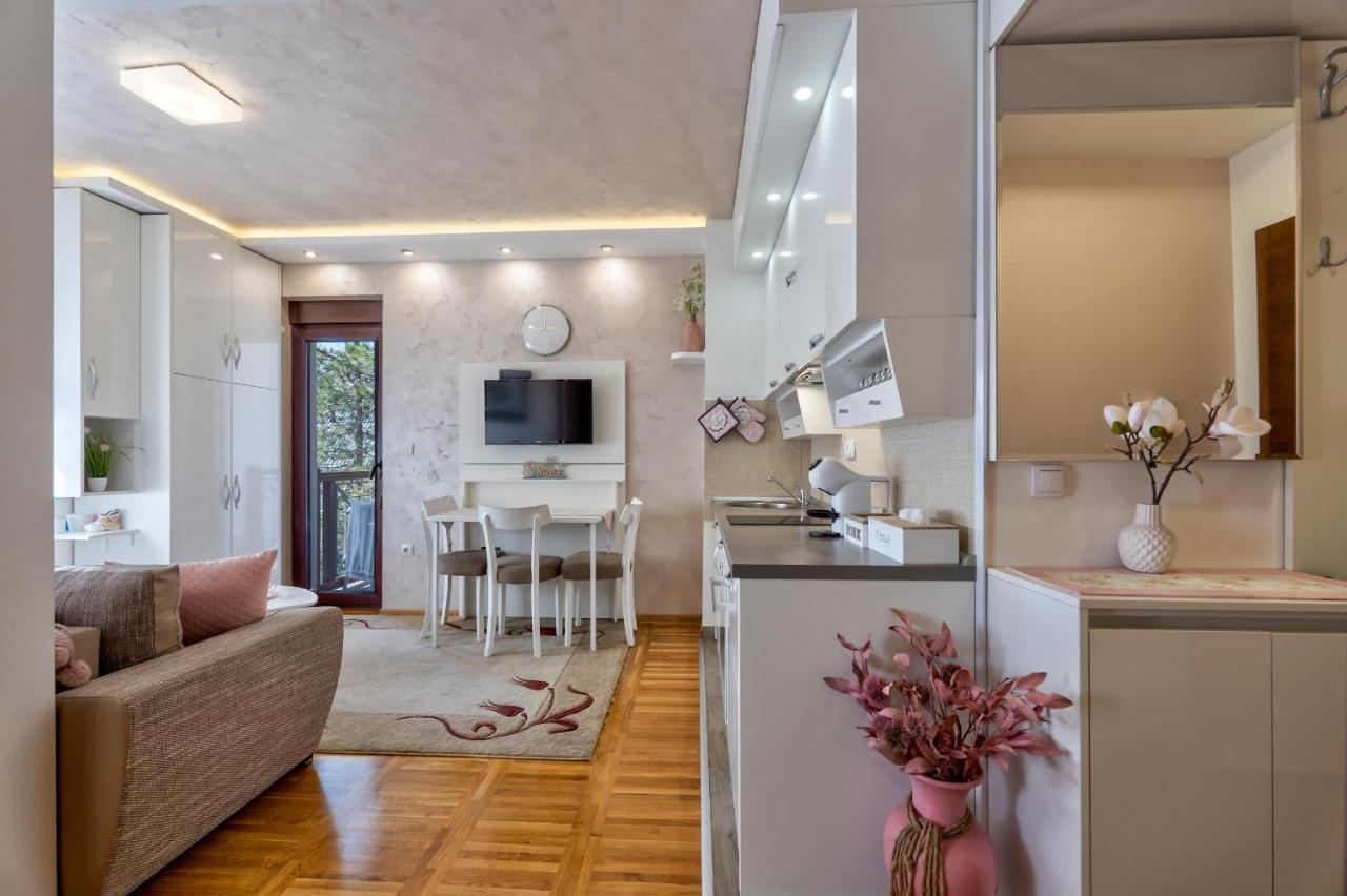 Apartman Tajena Zlatibor Buitenkant foto